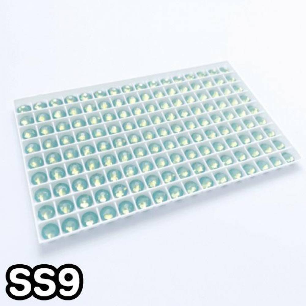 GGD 2088 평스톤 - 퍼시픽오팔 SS9 30개