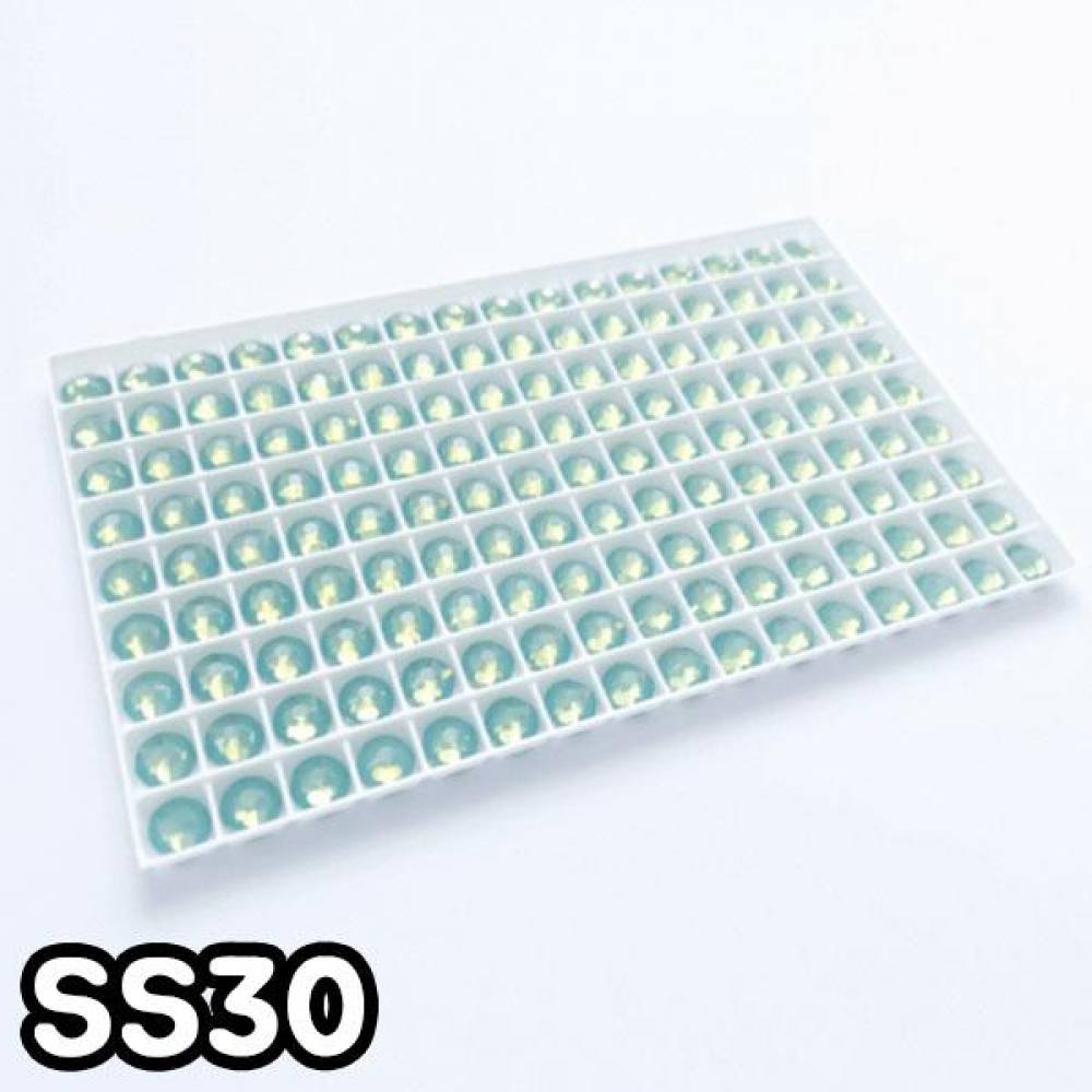 GGD 2088 평스톤 - 퍼시픽오팔 SS30 10개