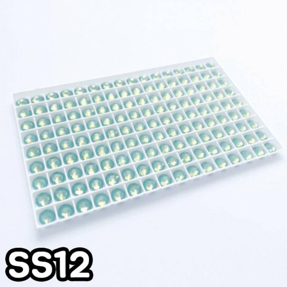 GGD 2088 평스톤 - 퍼시픽오팔 SS12 30개
